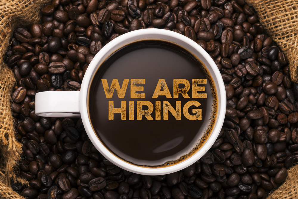 Now Hiring: Junior Content Marketing Consultant