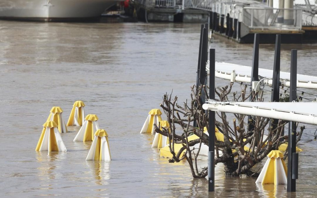 Solotel & Matt Moran’s riverside venue could not be more excited to reopen after devastating floods